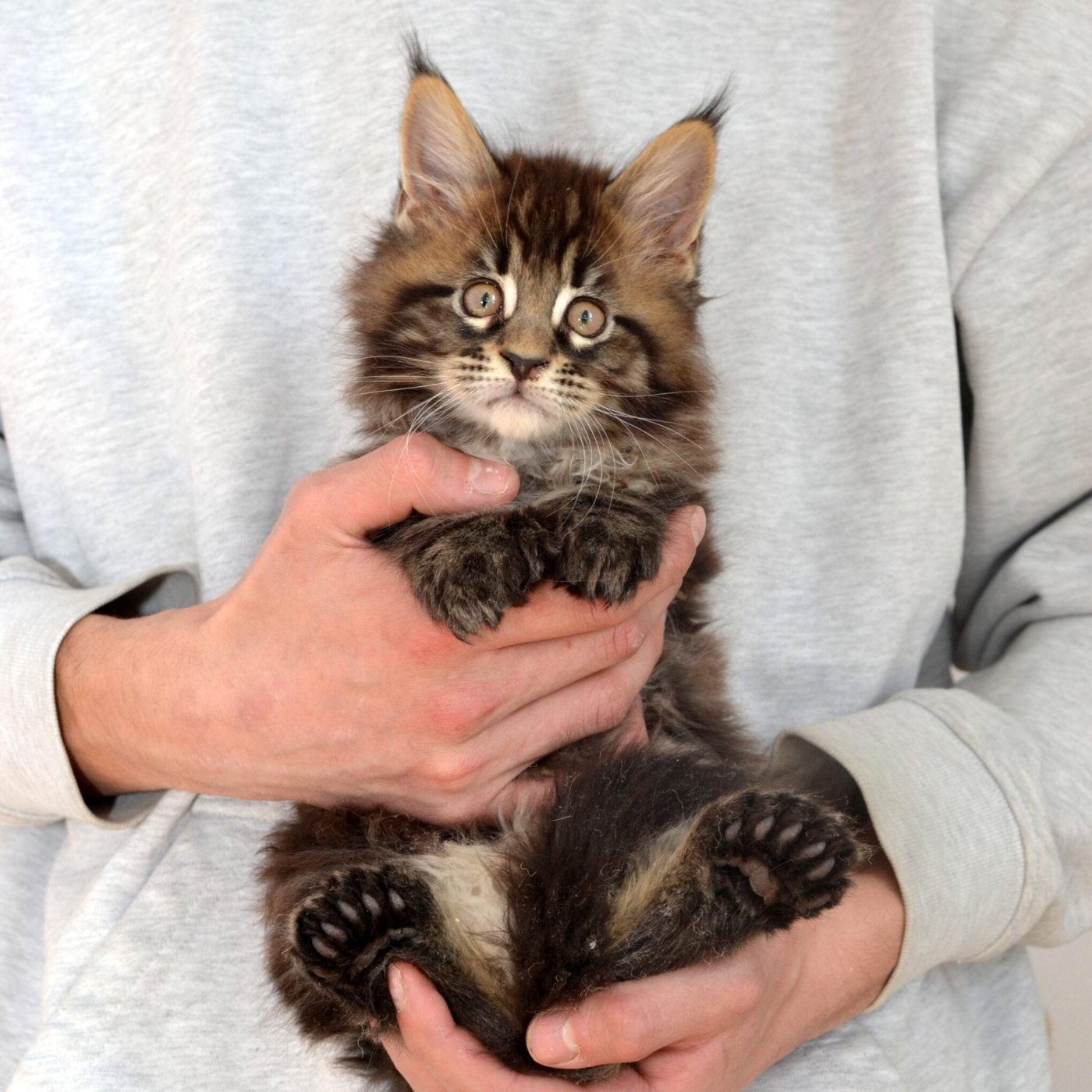 DSC_0312